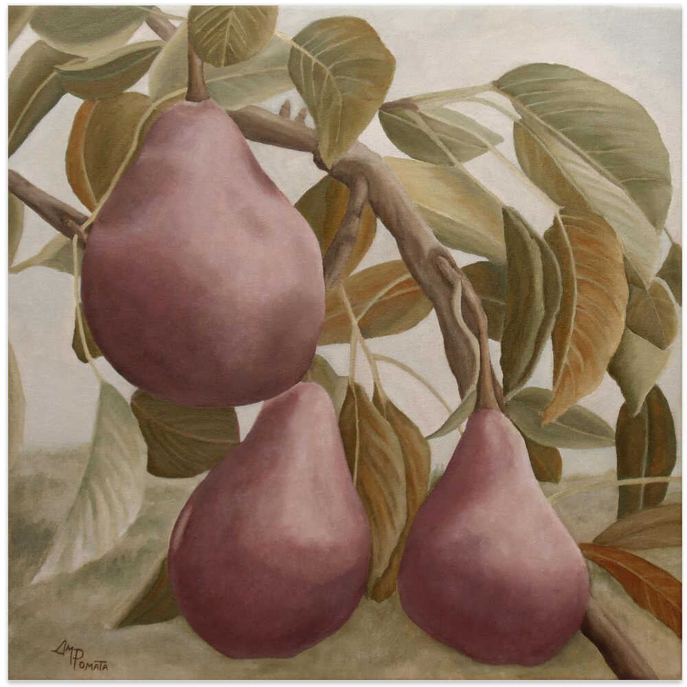 Max Red Bartlett Pears