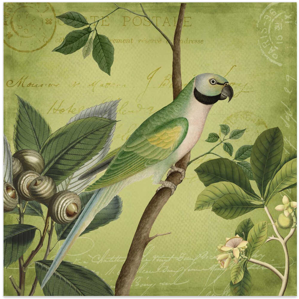 Bird Paradise Garden