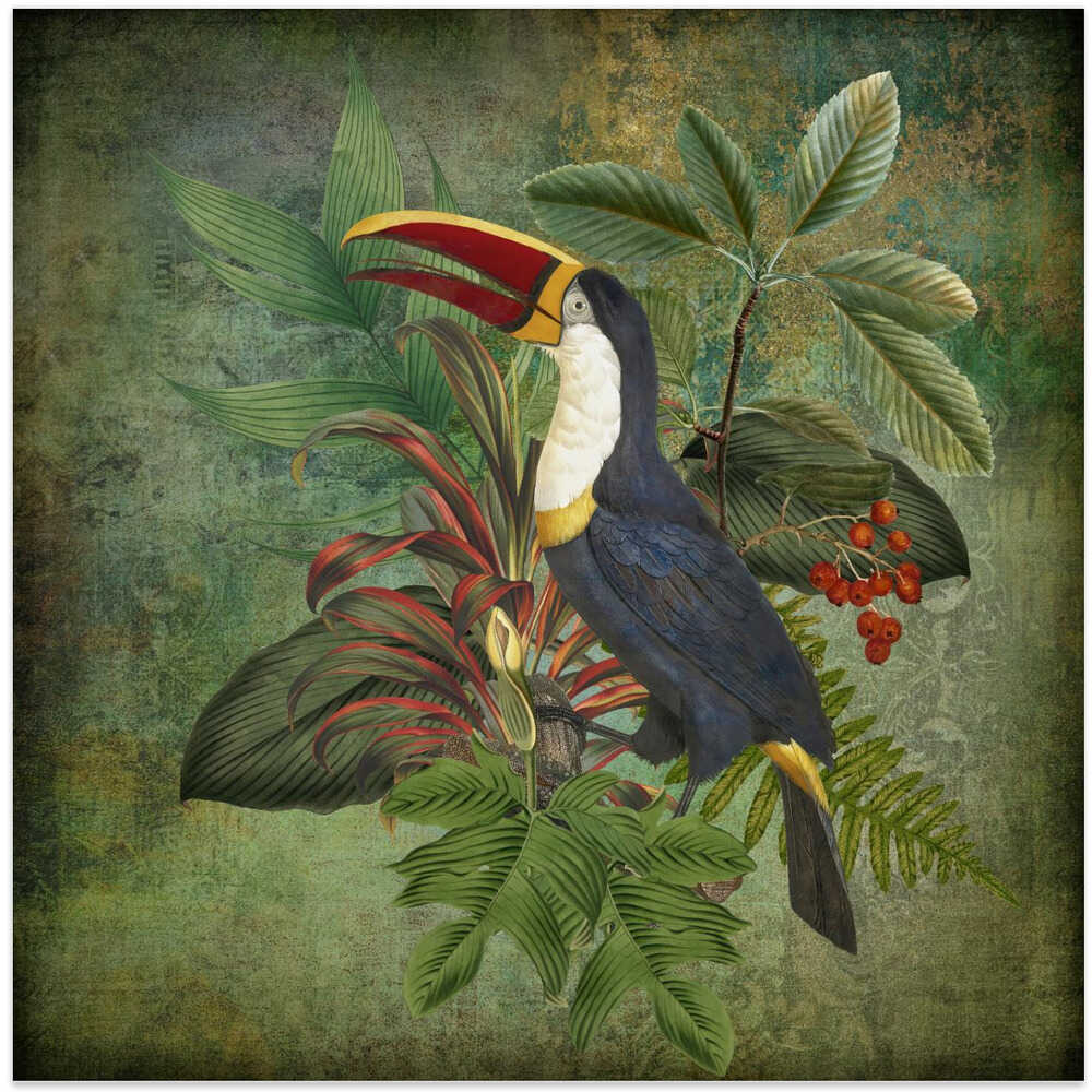 Toucan