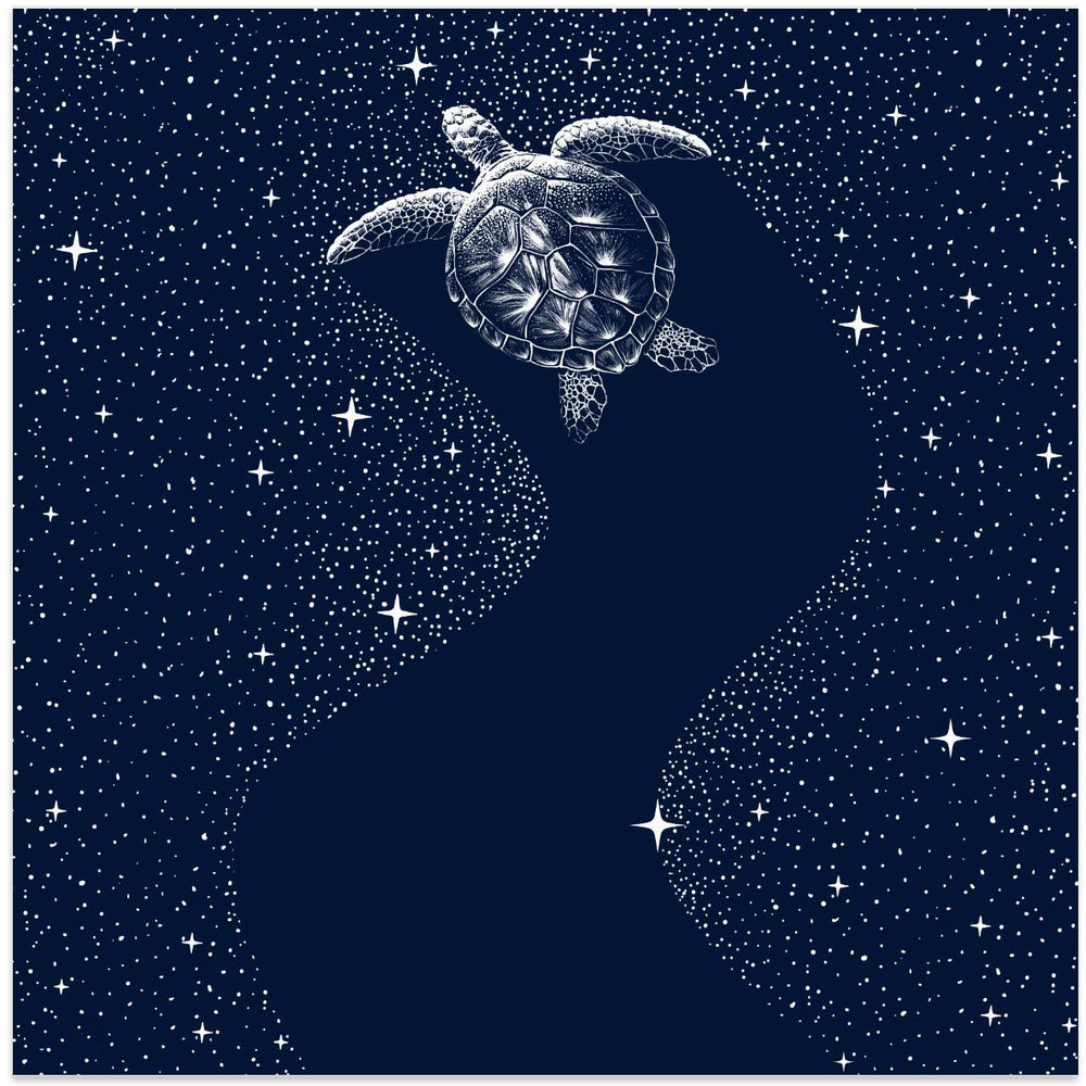 Art Prints of Starry Turtle