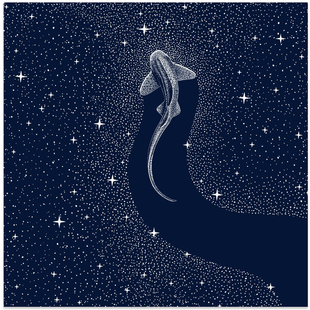 Art Prints of Leopard Shark In Cosmos