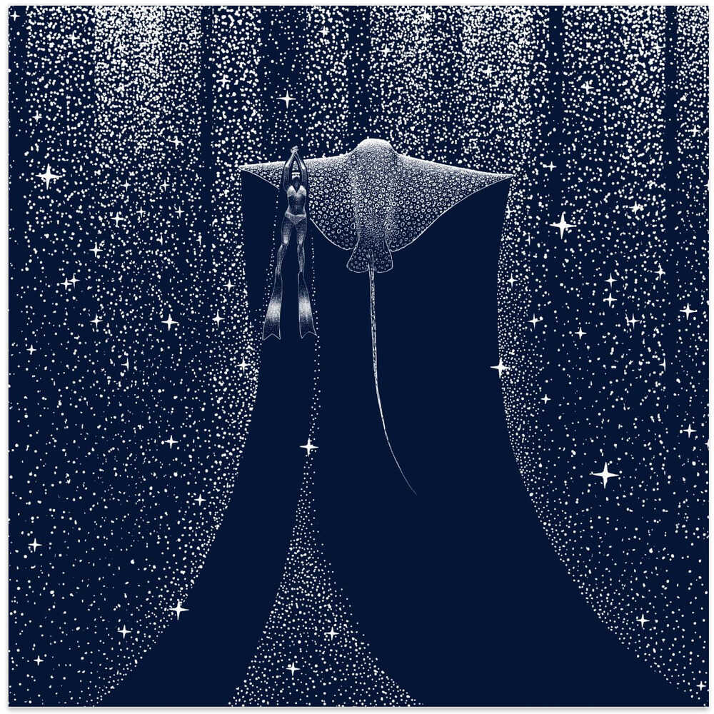 Star Collector and Diver Ver 2.0