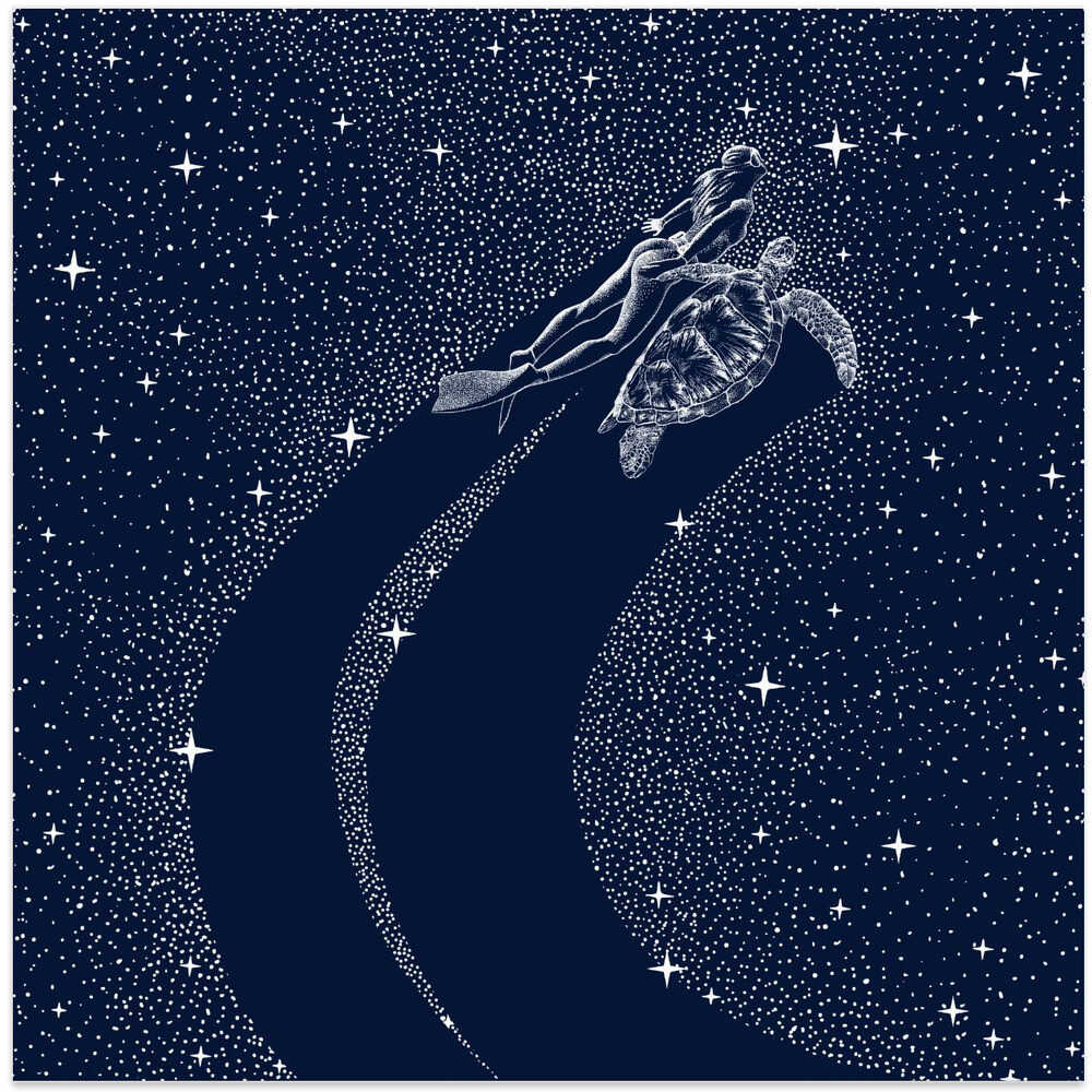 Starry Turtle and Diver