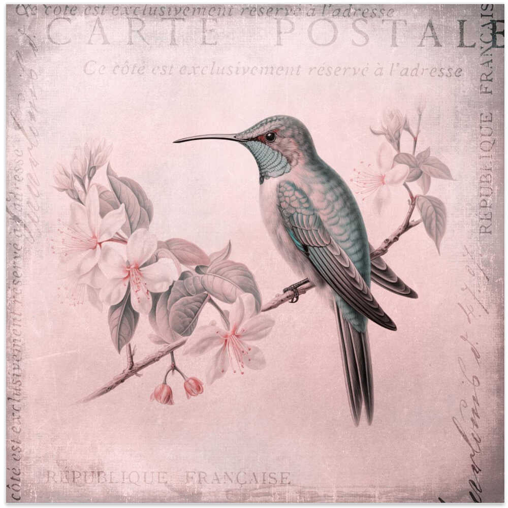 Hummingbird Romance Pastel Pink
