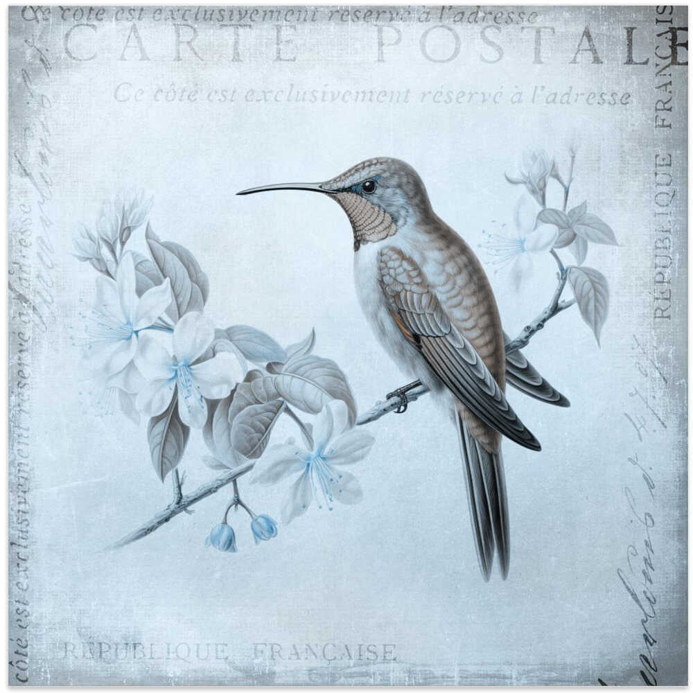 Hummingbird Romance Aqua Blue