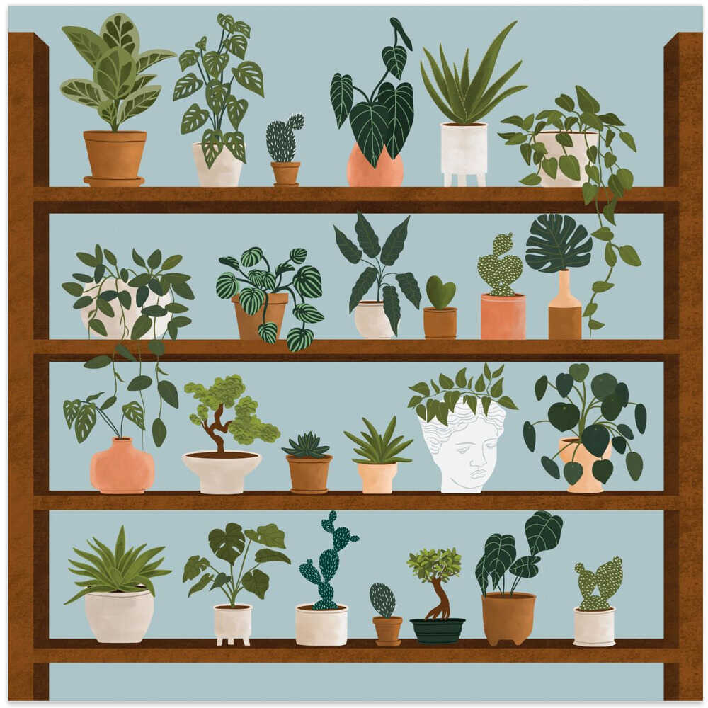Plant Shelves