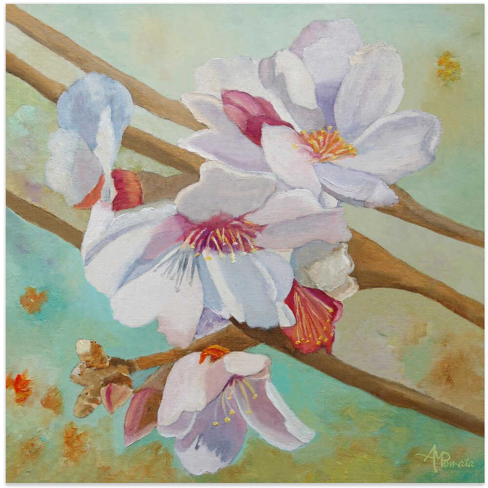 Almond Blossoms