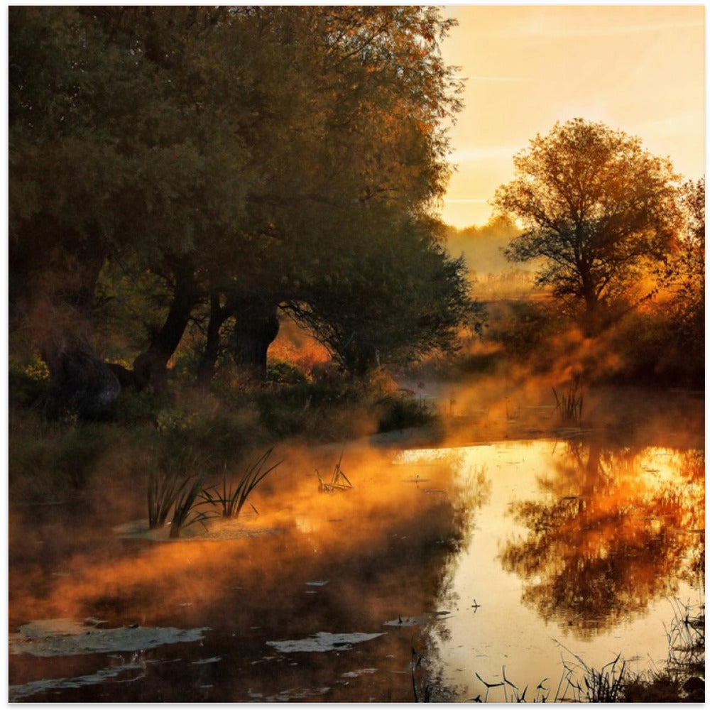 When nature paints with light I