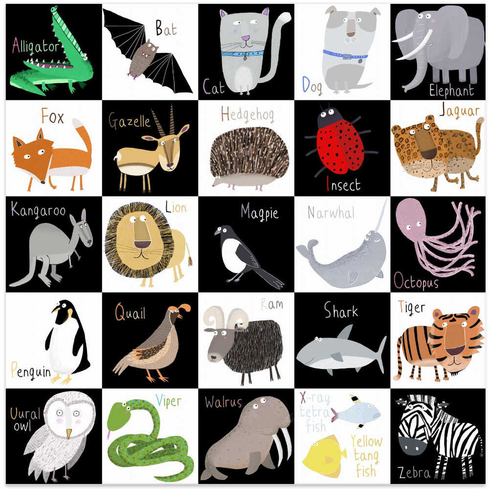Cute Animal Alphabet with Black White Background by Artist Carla Daly