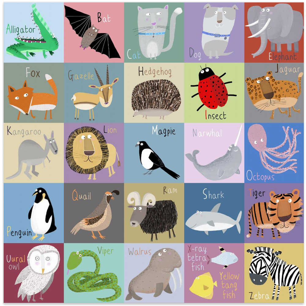 Colorful Chequered Animal Alphabet by Artist Carla Daly