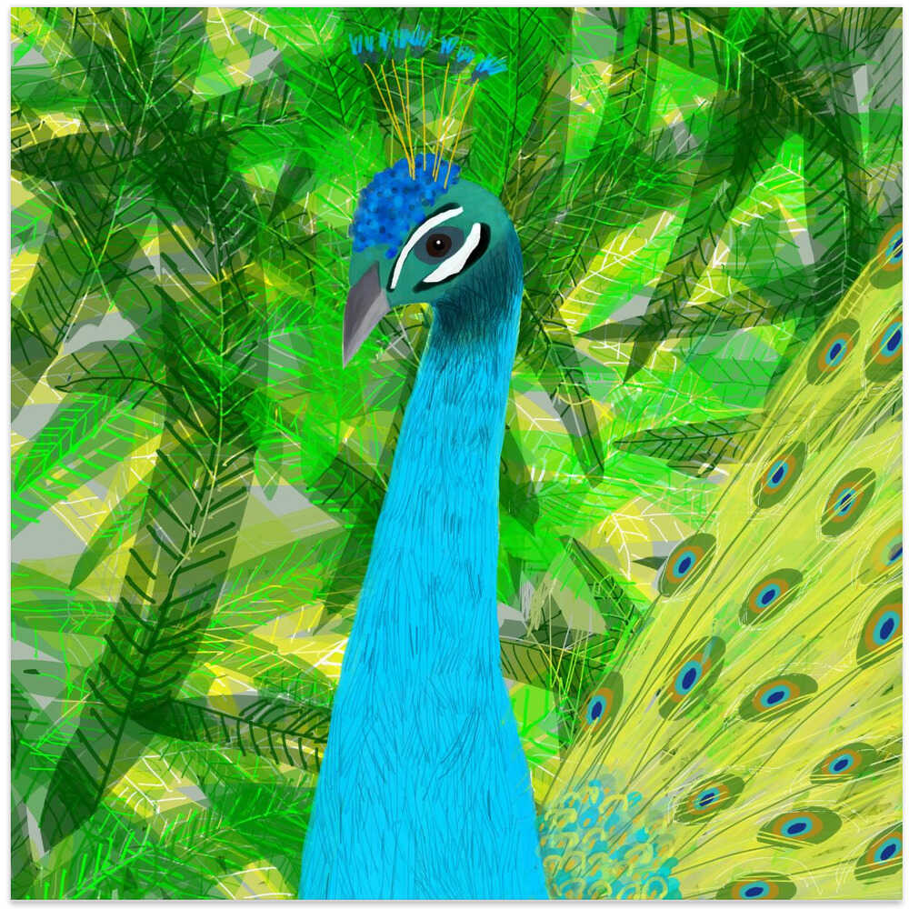 Beautiful Peacock in the Tropical Rainforest by Carla Daly