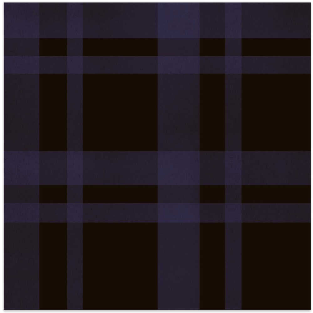 Big Check print texture