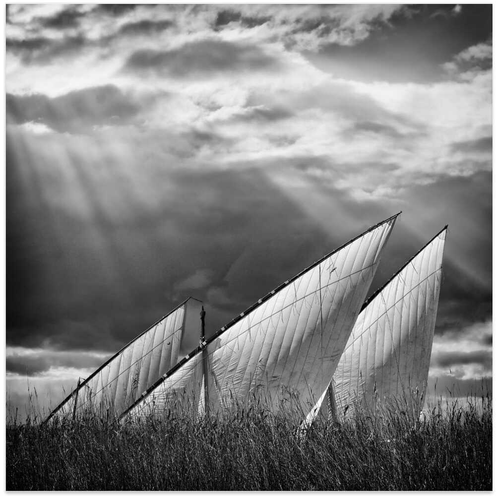 Sailboats and Light VI