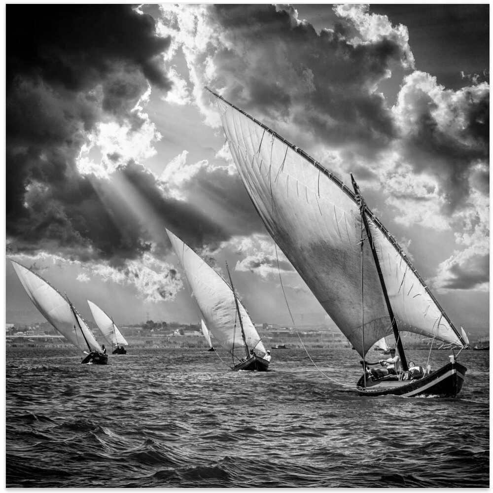 Sailboats and Light IX