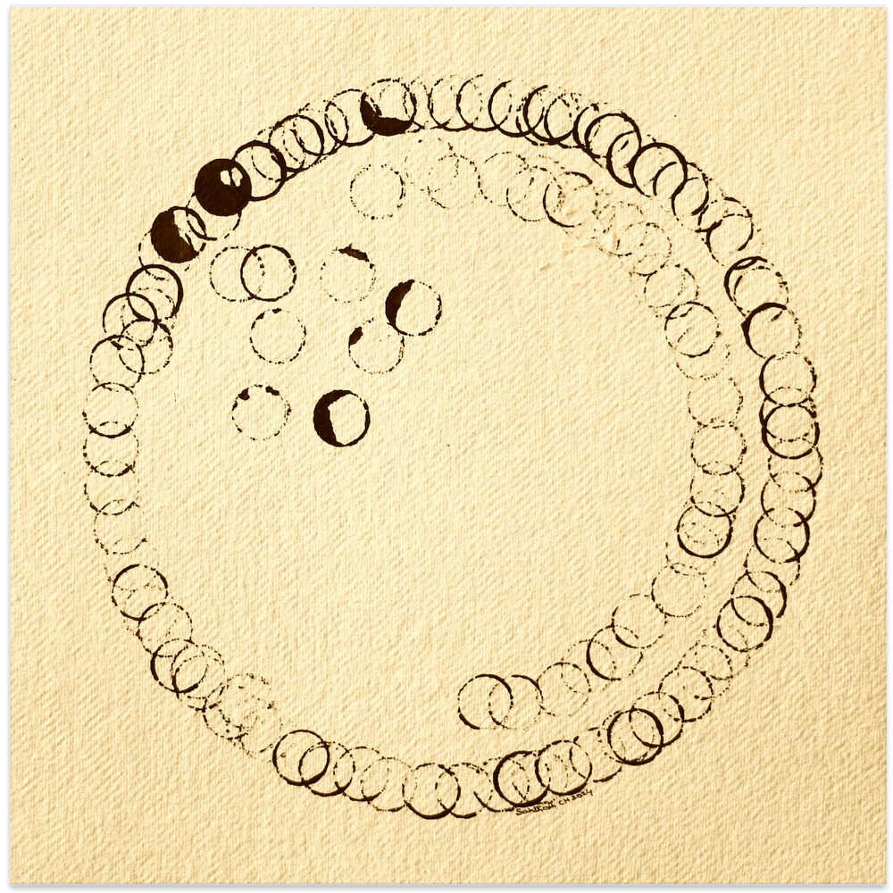 Circular Harmony