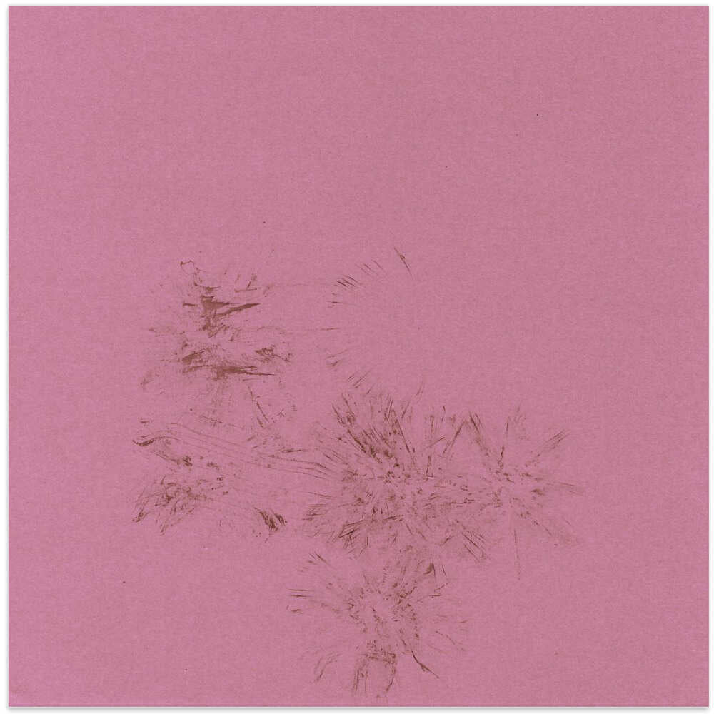 Pink Whisper Impressions