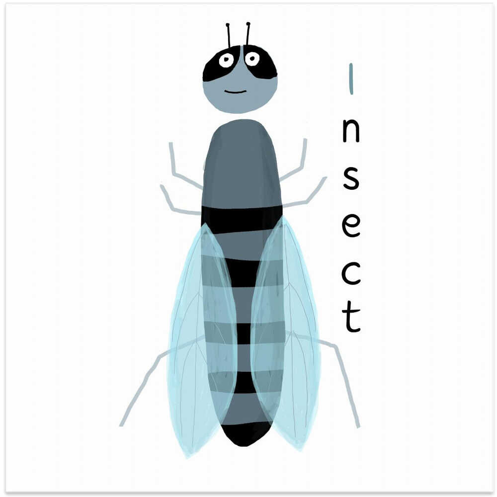I is for Insect