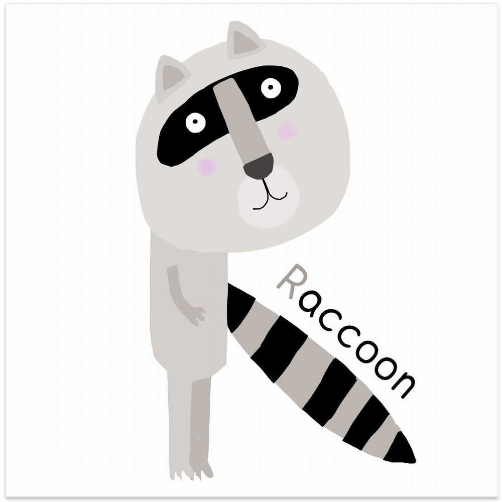 R is for Raccoon