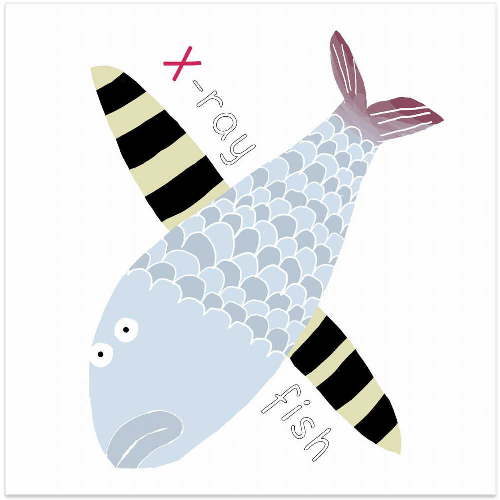 X is for X-Ray Fish