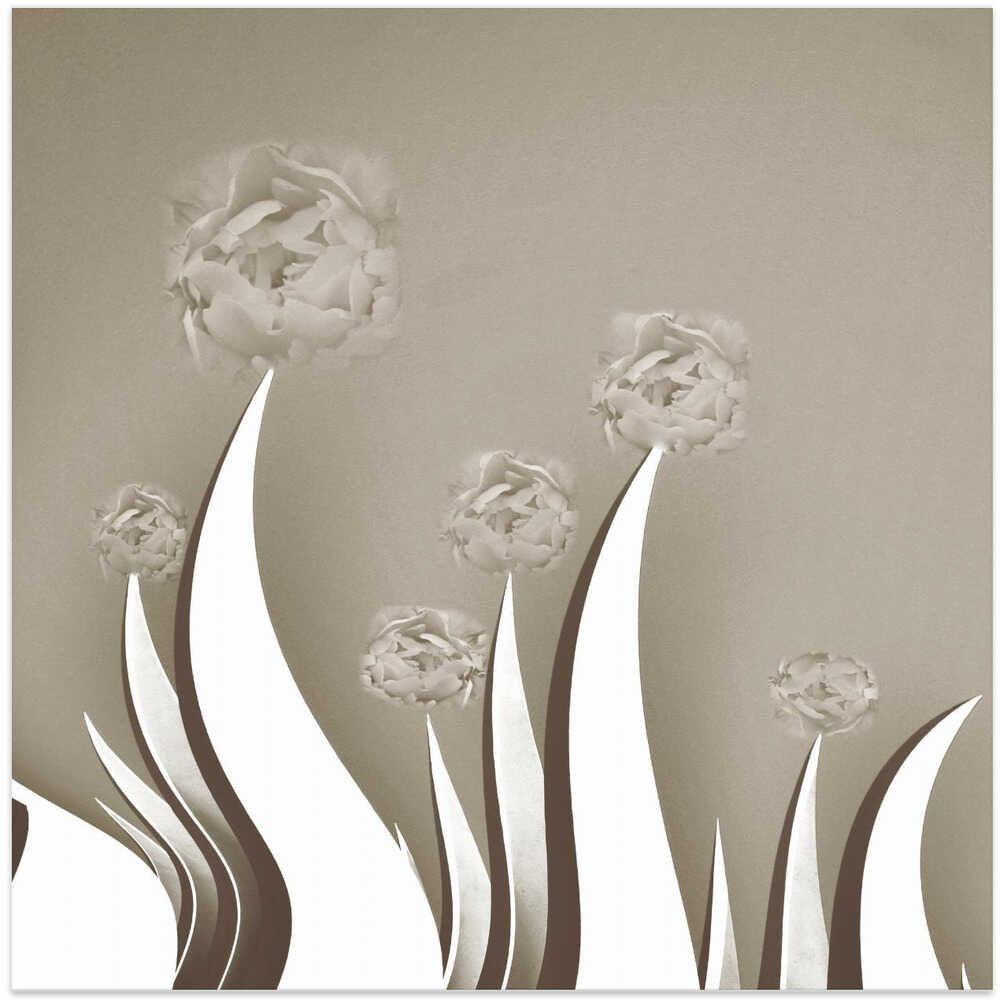 Elegant Peonies Petals