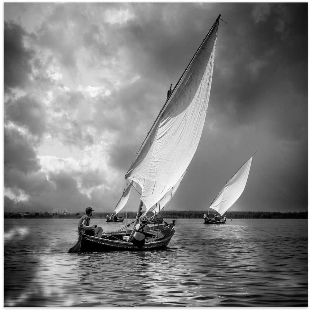 Sailboats and Light XX