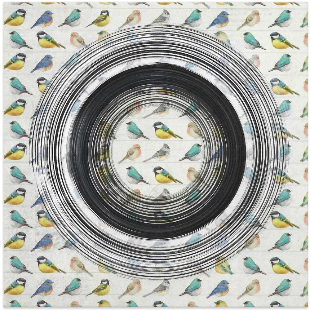 Colorful Birds In A Circle