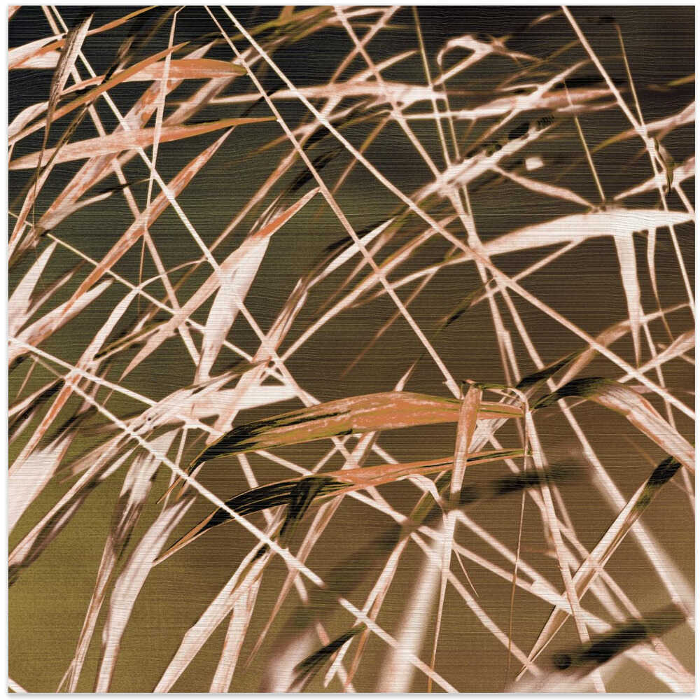 Blurred Lines Resembling Grass