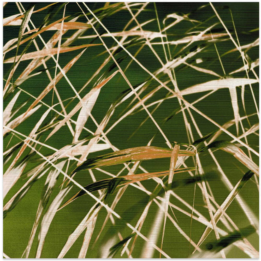 Dynamic Beauty of Nature