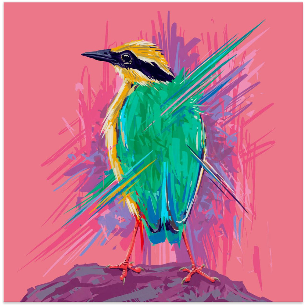 Bird Series Indian Pitta