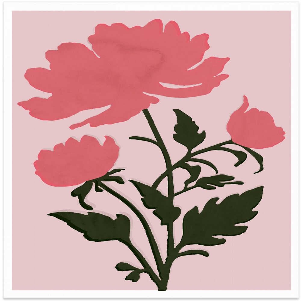 Peonies and Green Grace