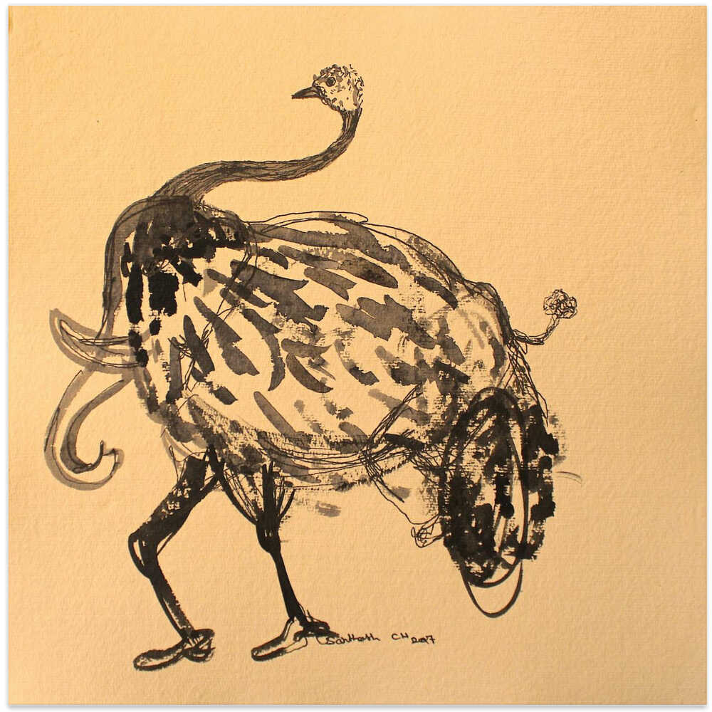 Eccentric Ostrich