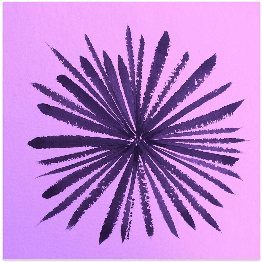 Petal Burst 展覧会