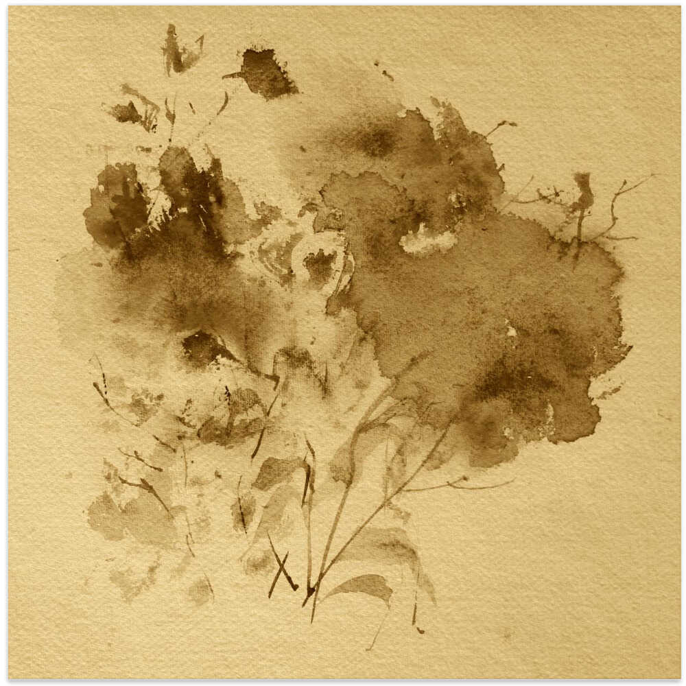 Sepia Blossoms