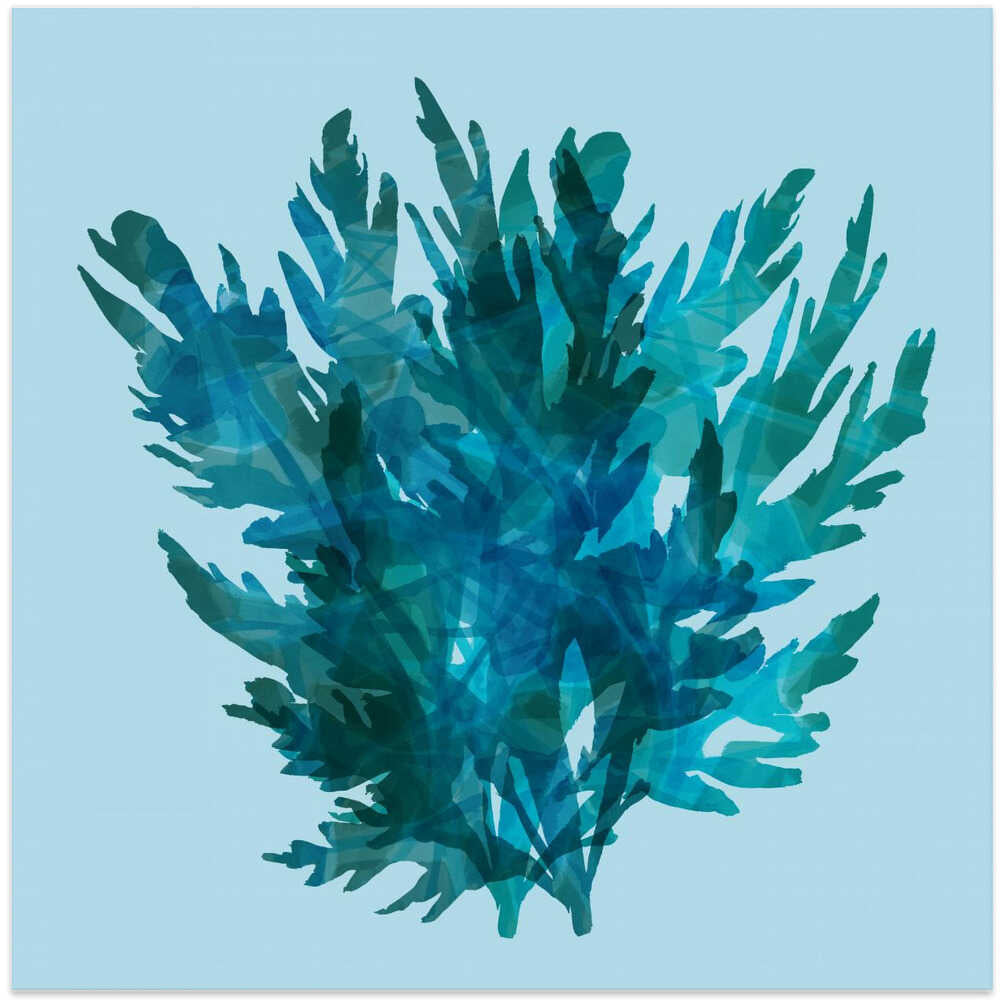 Deep Blue Kelp 2