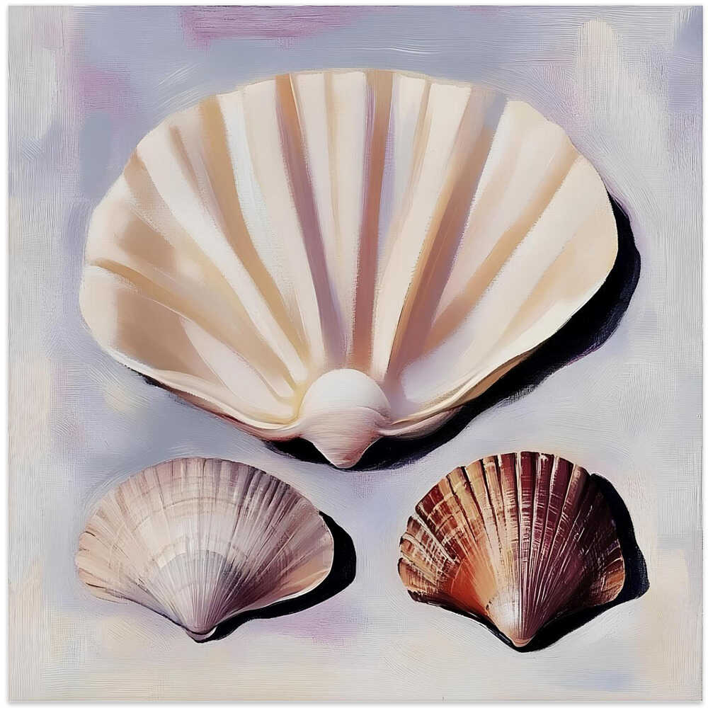 Seashell Harmony