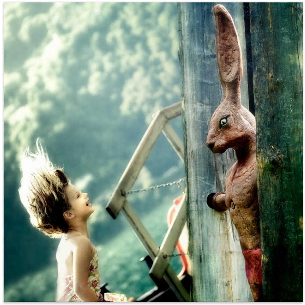 Ears up!...it's time for bunnies