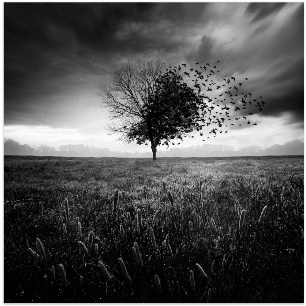 Illusion d'un printemps perdu