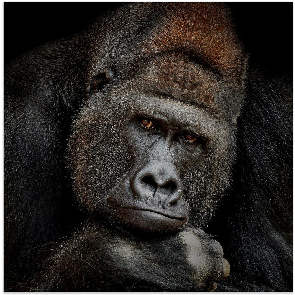 ONE MOMENT IN CONTACT