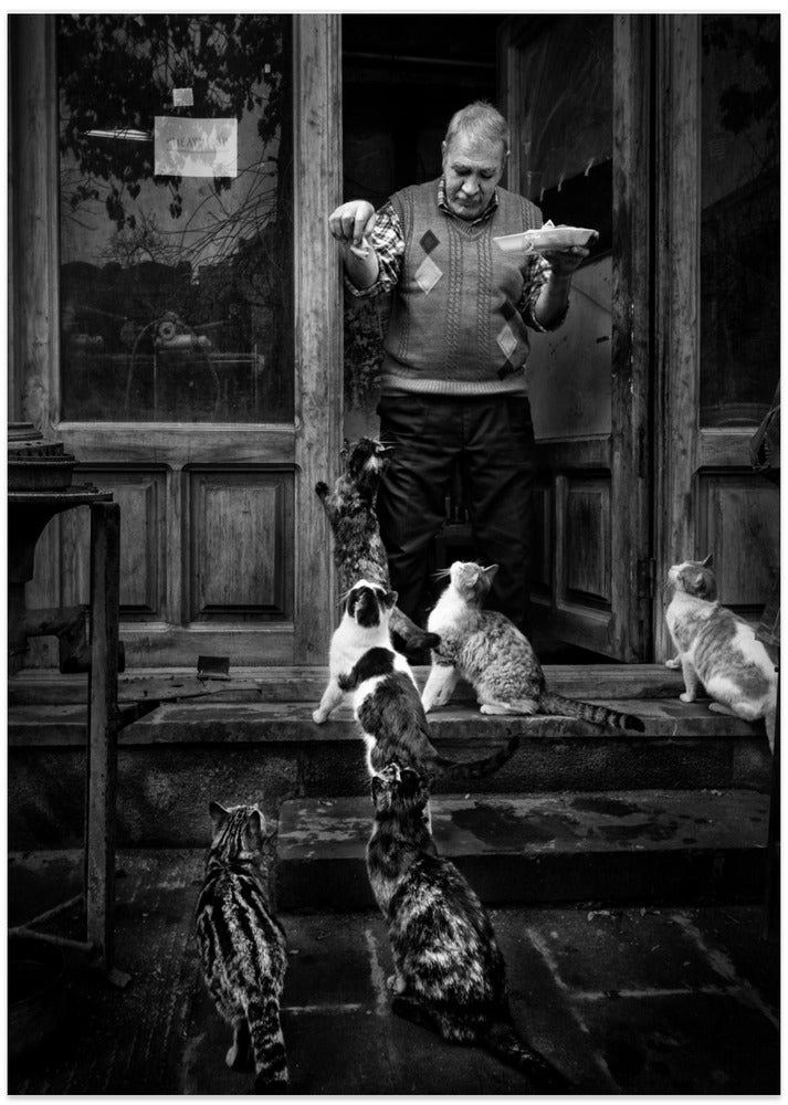 AMIR ALI NAVADEH SHAHLA