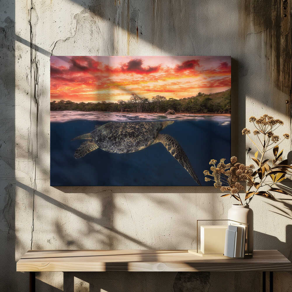 Green turtle and fire sky!