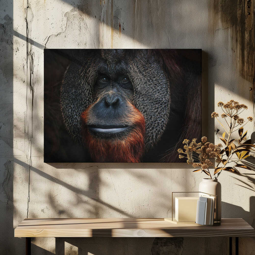 THE MAN OF THE FORREST