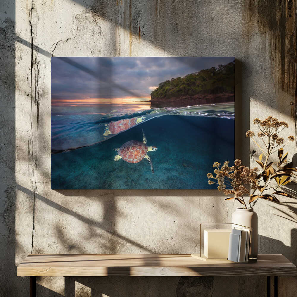 Green turtle with sunset