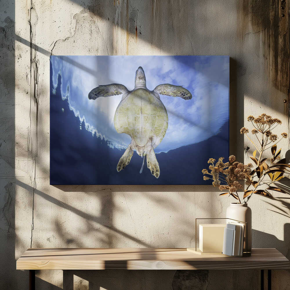 Shark attack survivor