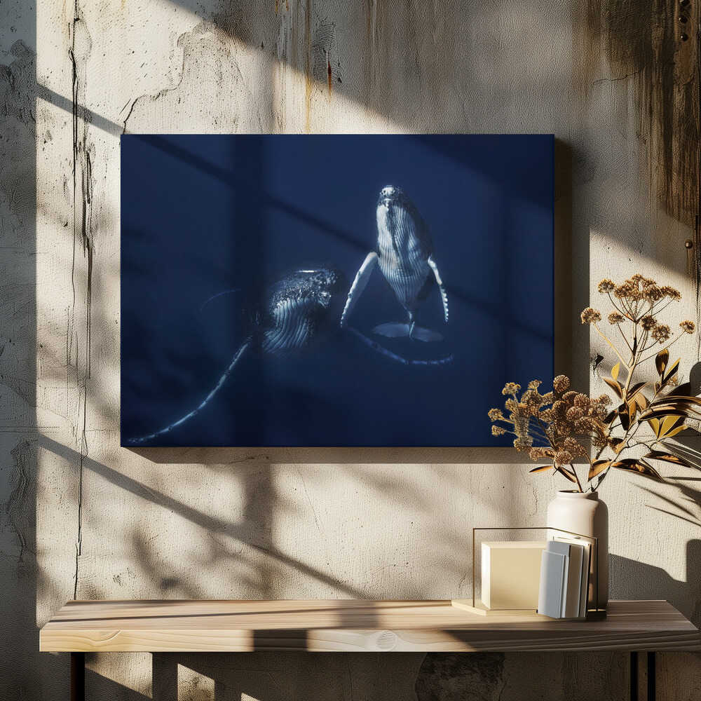 Humpback whale mother and calf