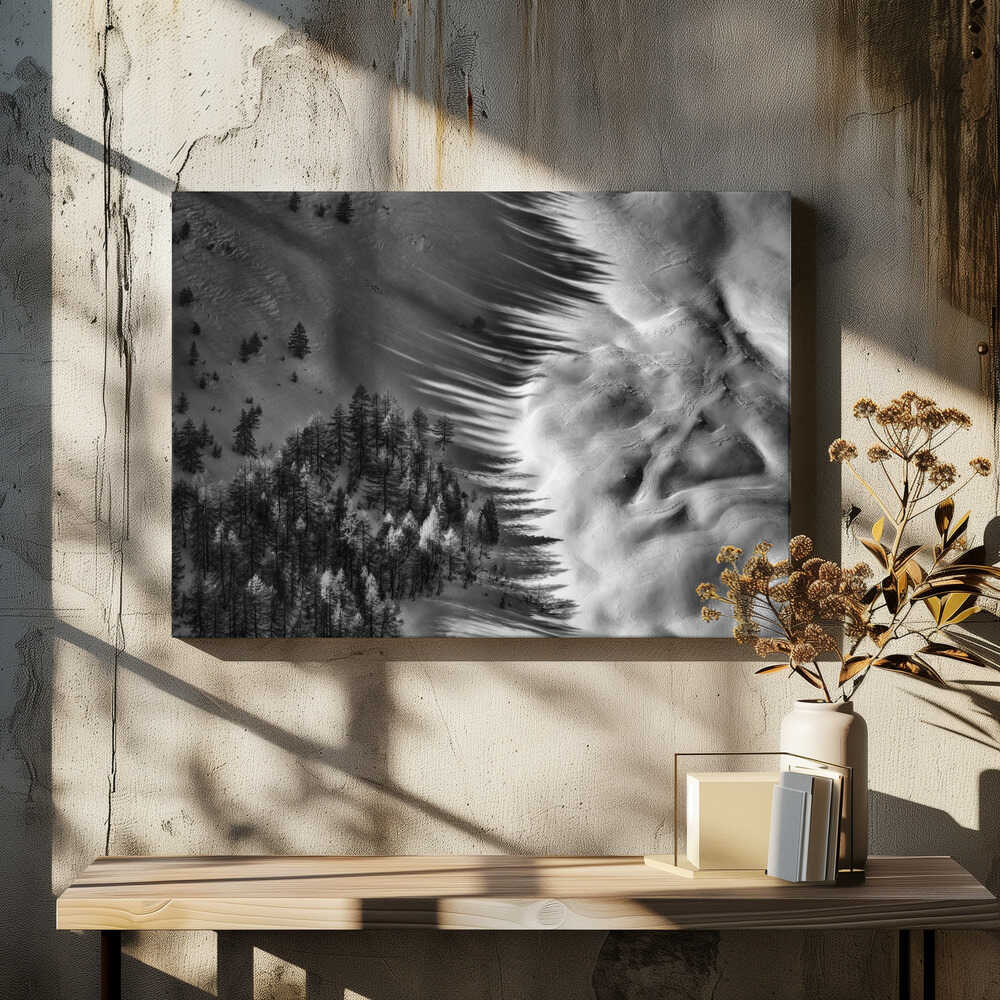 Low Winter Sun Shadows