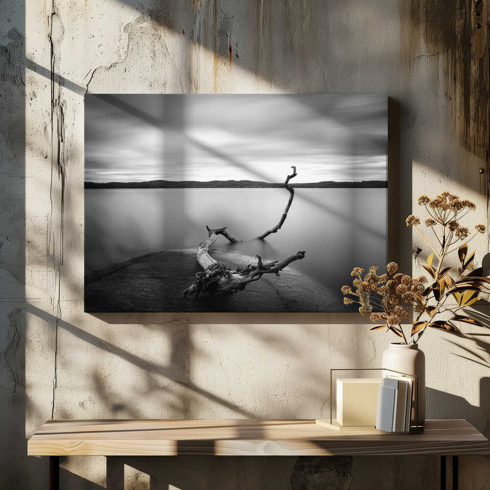 Branch long exposure lake