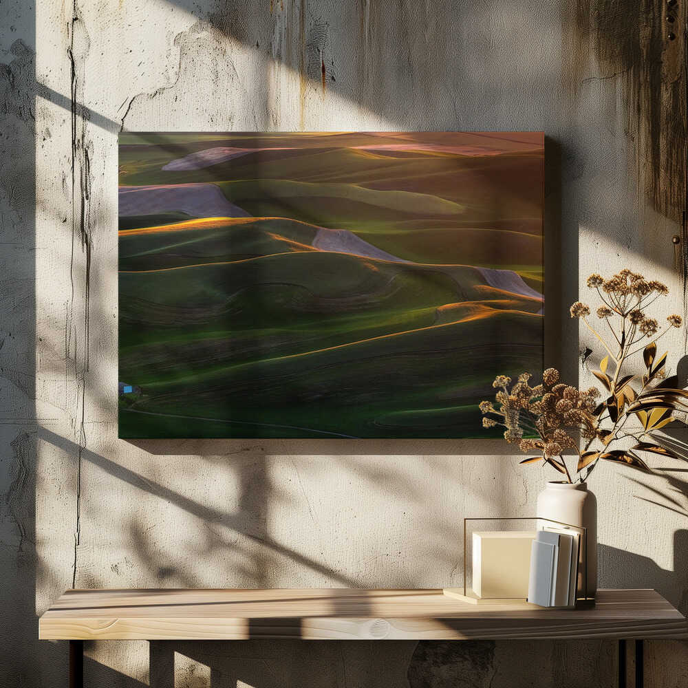 In the morning light