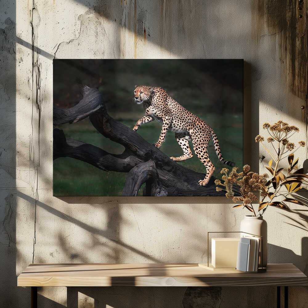 Take look from the top