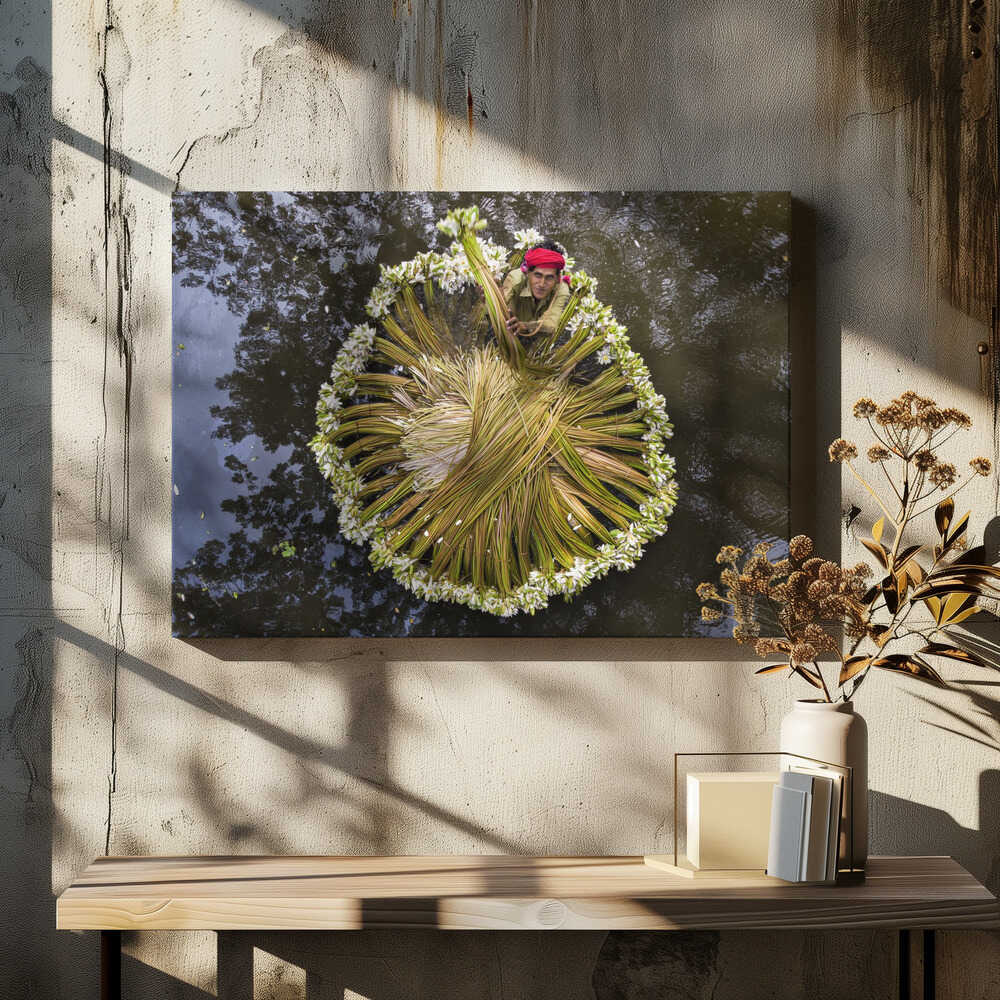 Waterlilies collecting