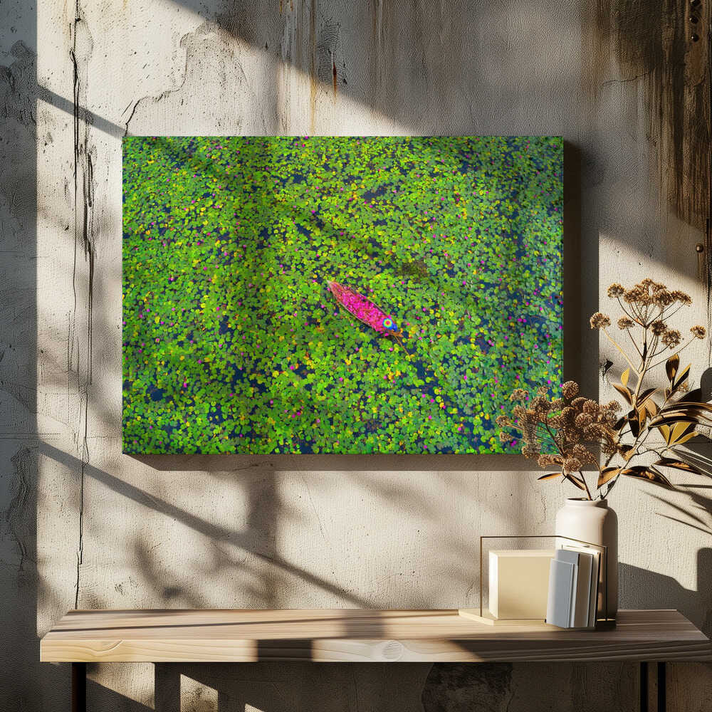 Collecting waterlily